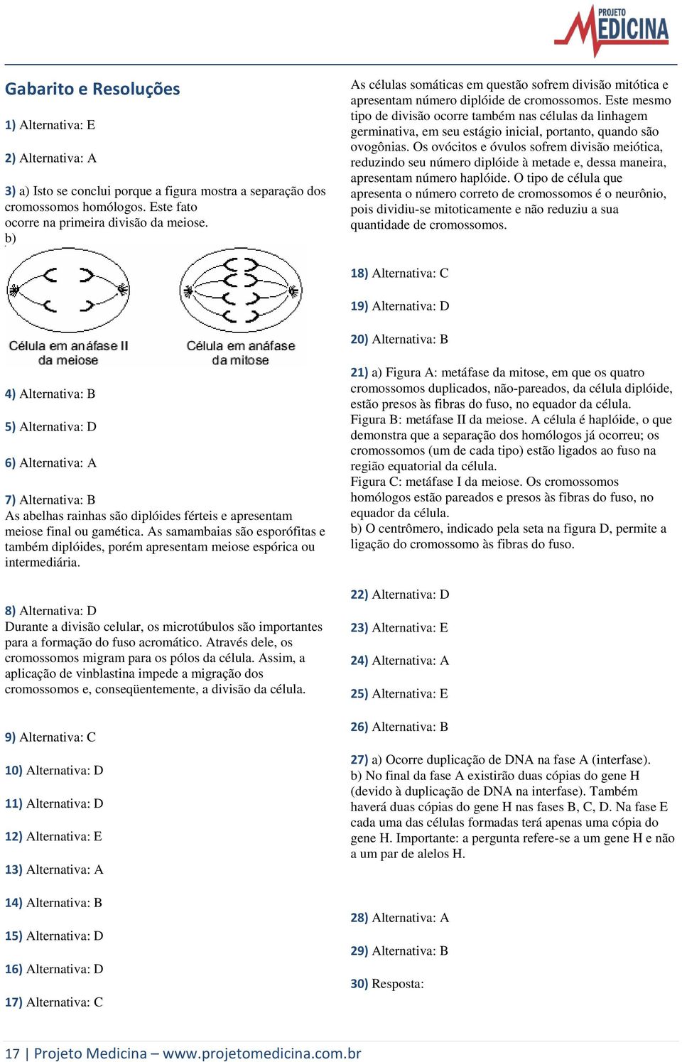 Este mesmo tipo de divisão ocorre também nas células da linhagem germinativa, em seu estágio inicial, portanto, quando são ovogônias.