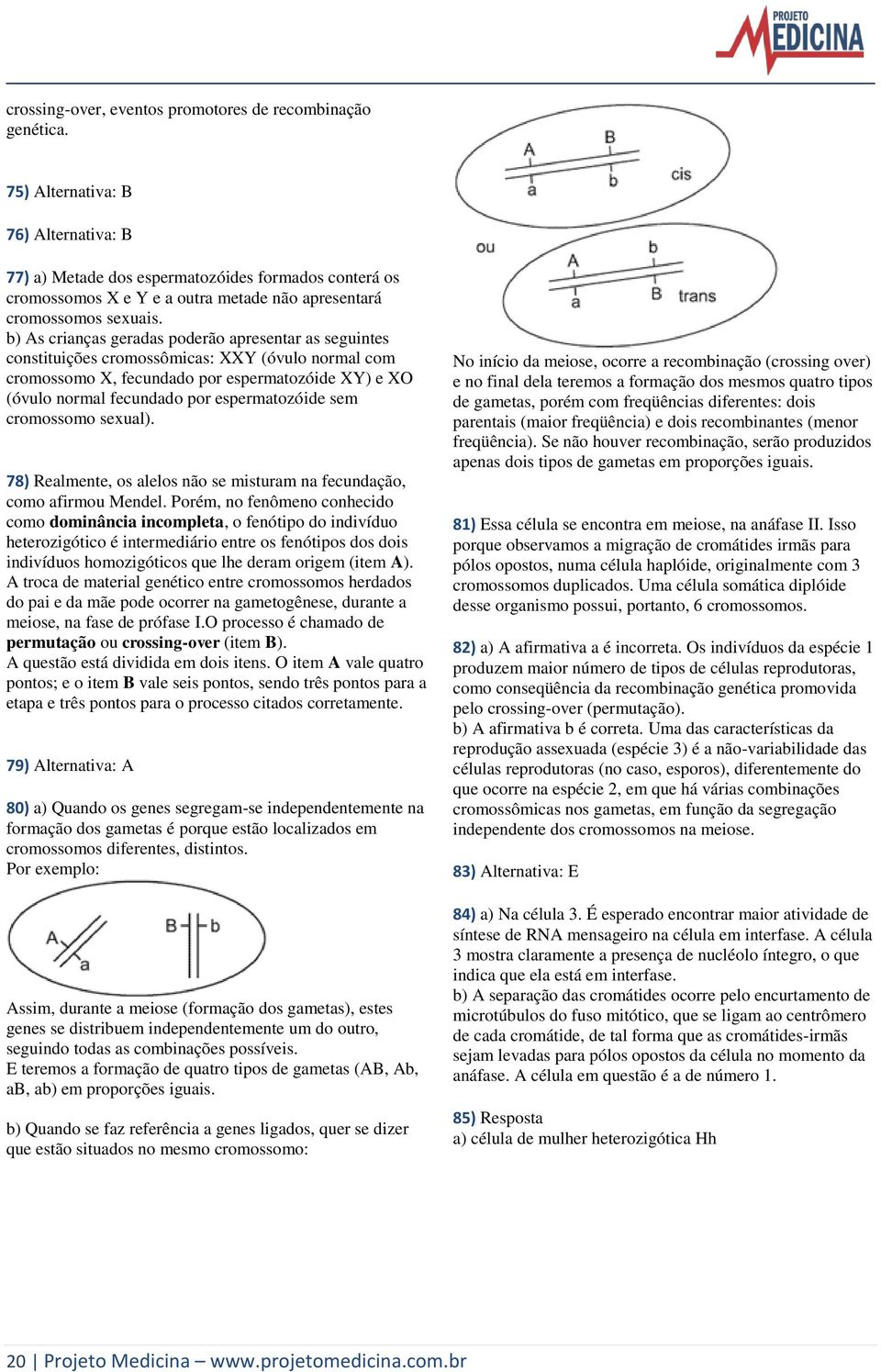 b) As crianças geradas poderão apresentar as seguintes constituições cromossômicas: XXY (óvulo normal com cromossomo X, fecundado por espermatozóide XY) e XO (óvulo normal fecundado por