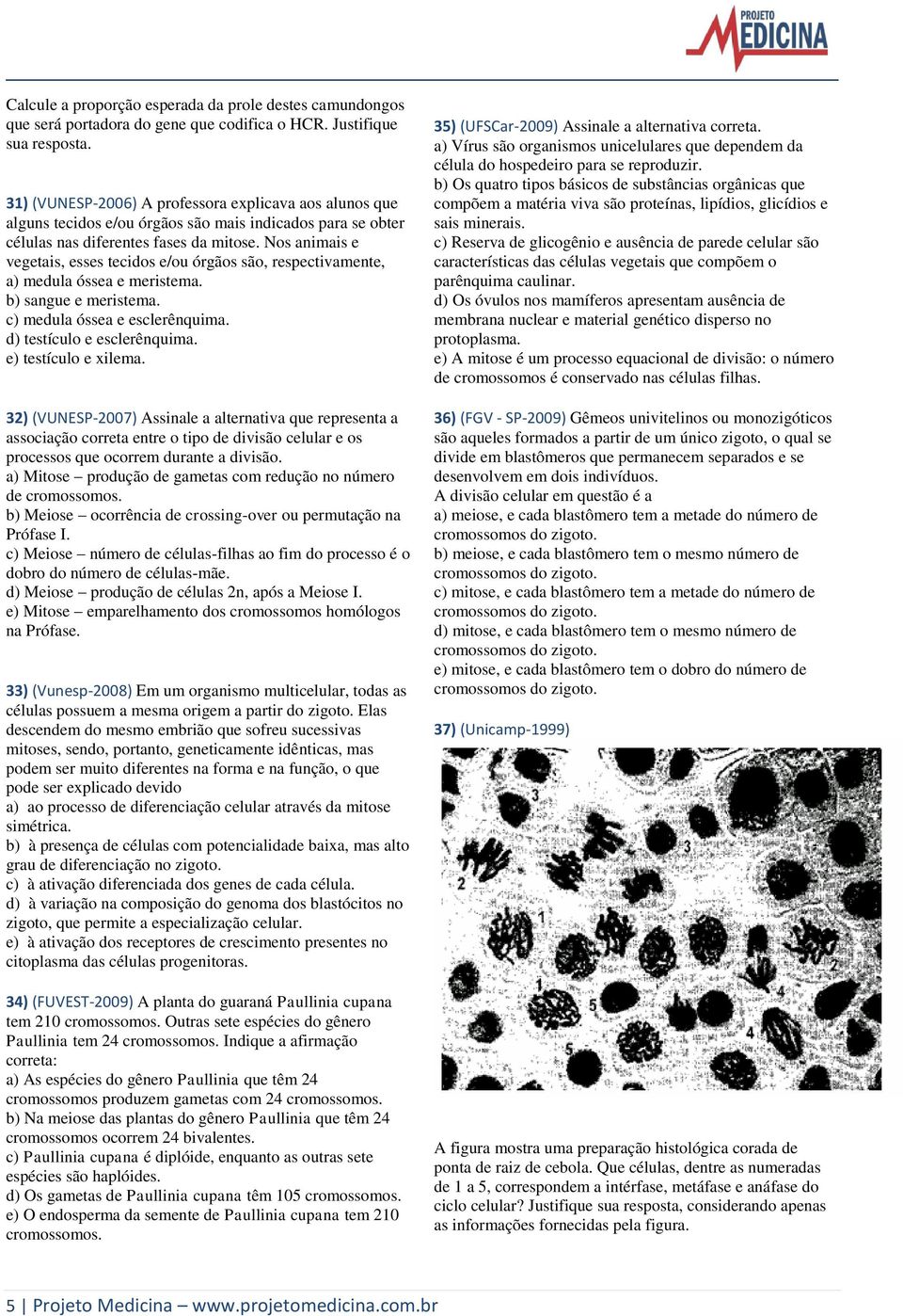 Nos animais e vegetais, esses tecidos e/ou órgãos são, respectivamente, a) medula óssea e meristema. b) sangue e meristema. c) medula óssea e esclerênquima. d) testículo e esclerênquima.