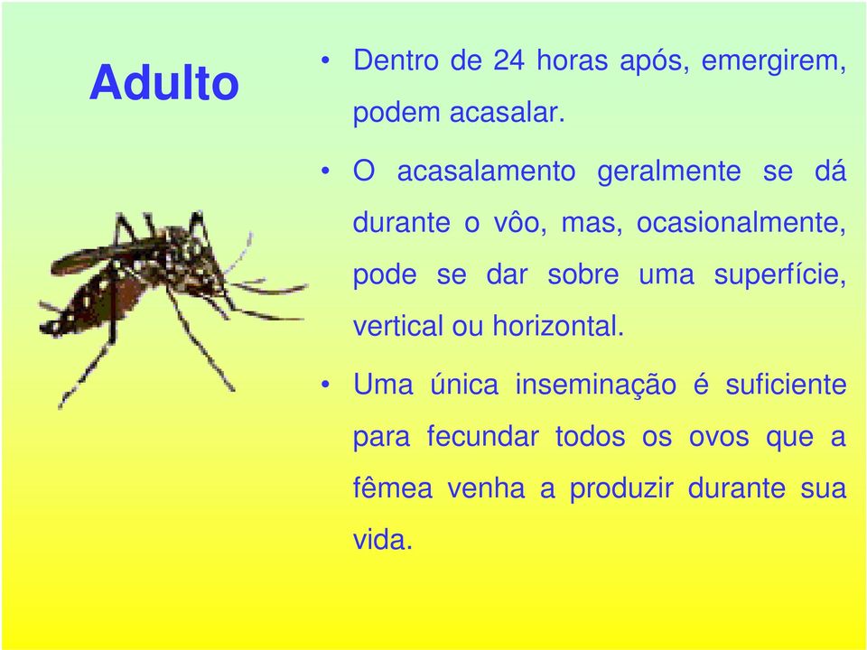 se dar sobre uma superfície, vertical ou horizontal.