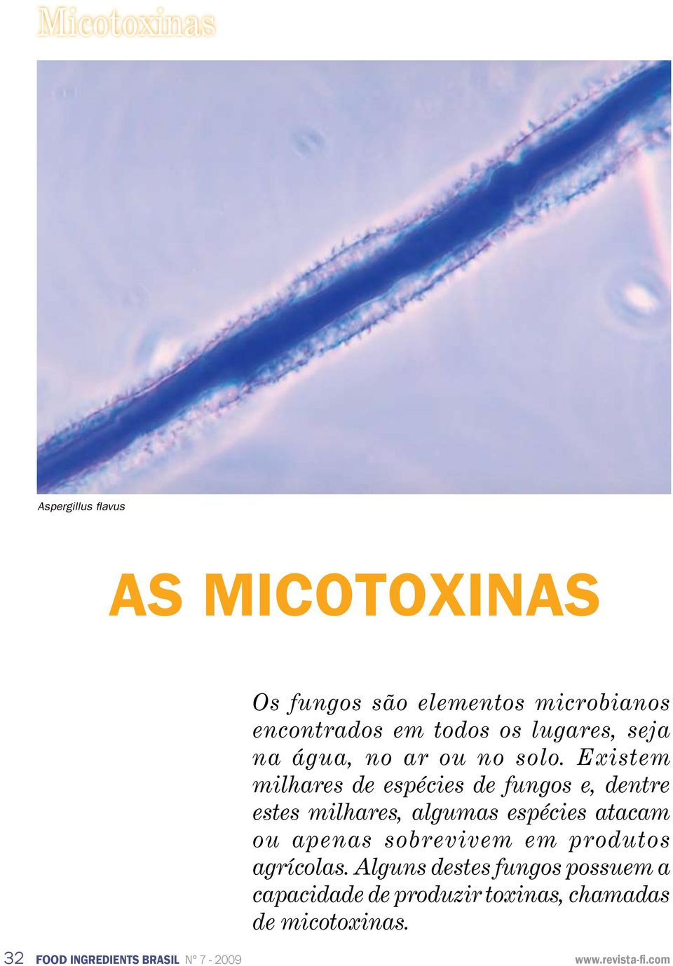 Existem milhares de espécies de fungos e, dentre estes milhares, algumas espécies atacam ou apenas