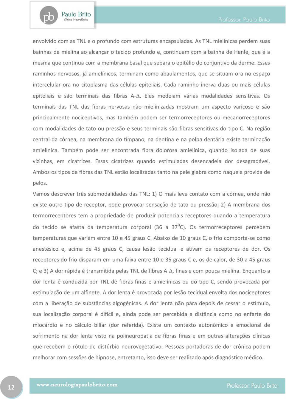 da derme. Esses raminhos nervosos, já amielínicos, terminam como abaulamentos, que se situam ora no espaço intercelular ora no citoplasma das células epiteliais.