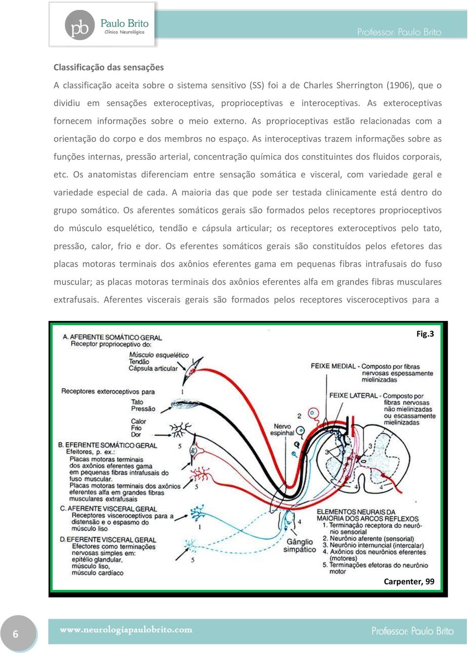 As interoceptivas trazem informações sobre as funções internas, pressão arterial, concentração química dos constituintes dos fluidos corporais, etc.