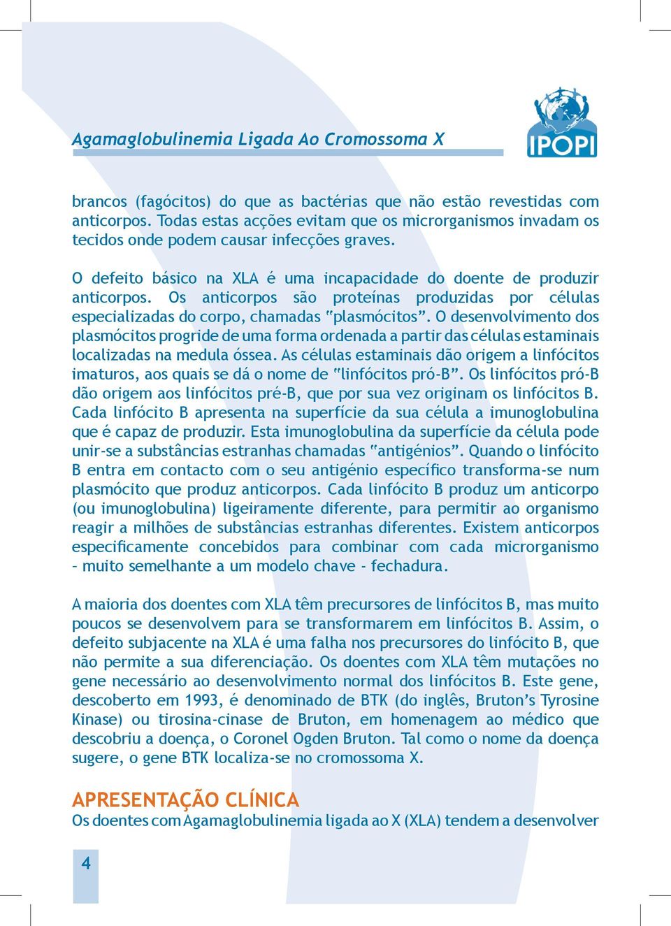 O desenvolvimento dos plasmócitos progride de uma forma ordenada a partir das células estaminais localizadas na medula óssea.