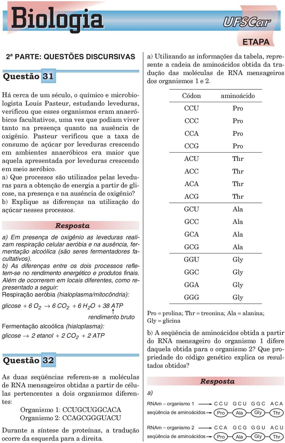 na ausência de oxigênio. Pasteur verificou que a taxa de consumo de açúcar por leveduras crescendo em ambientes anaeróbicos era maior que aquela apresentada por leveduras crescendo em meio aeróbico.