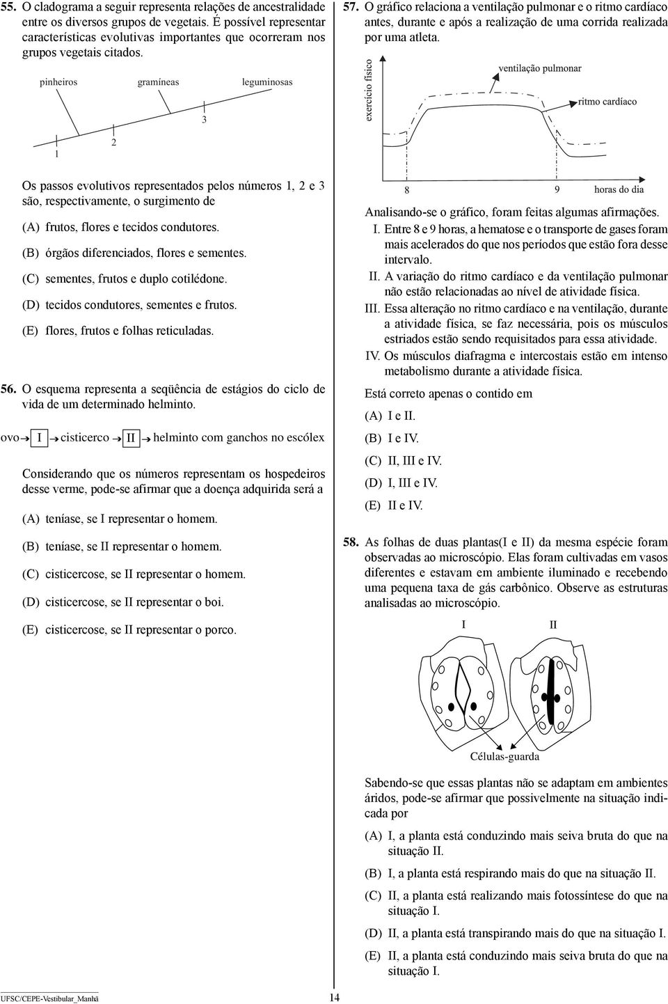 O gráfico relaciona a ventilação pulmonar e o ritmo cardíaco antes, durante e após a realização de uma corrida realizada por uma atleta.