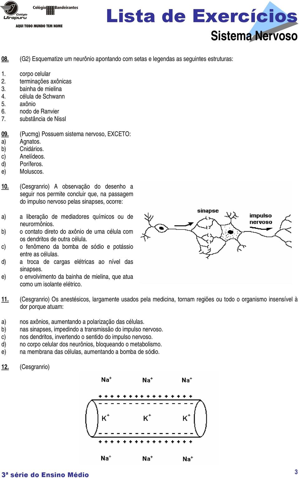 (Cesgranrio) A observação do desenho a seguir nos permite concluir que, na passagem do impulso nervoso pelas sinapses, ocorre: a) a liberação de mediadores químicos ou de neurormônios.