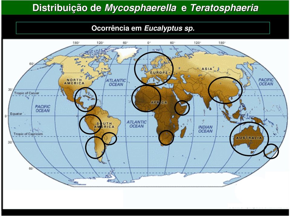 Teratosphaeria