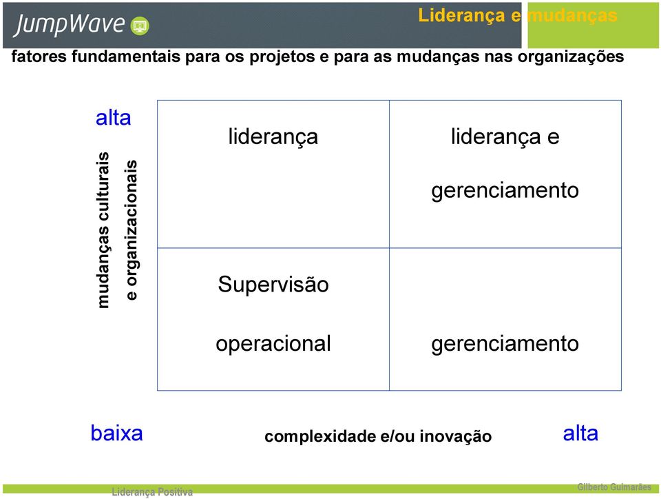 organizações alta liderança liderança e gerenciamento