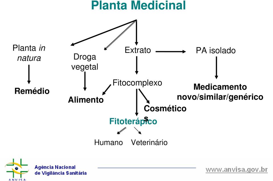 Fitocomplexo Medicamento