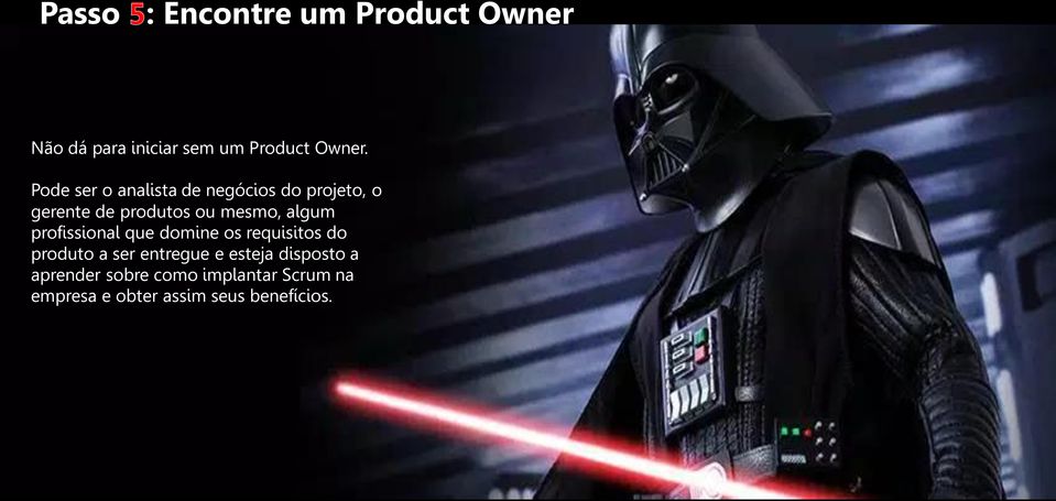 algum profissional que domine os requisitos do produto a ser entregue e esteja