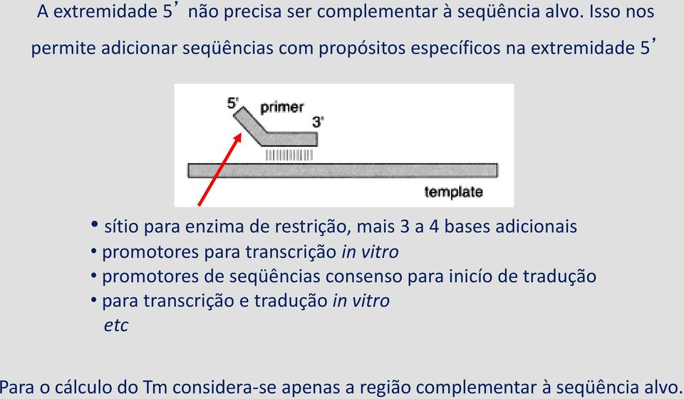 restrição, mais 3 a 4 bases adicionais promotores para transcrição in vitro promotores de seqüências
