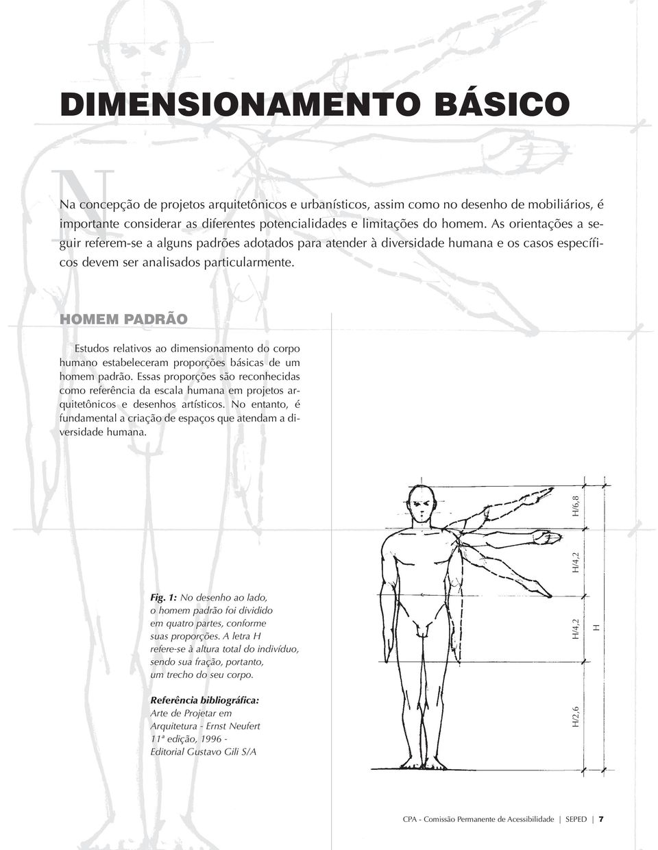 HOMEM PADRÃO Estudos relativos ao dimensionamento do corpo humano estabeleceram proporções básicas de um homem padrão.