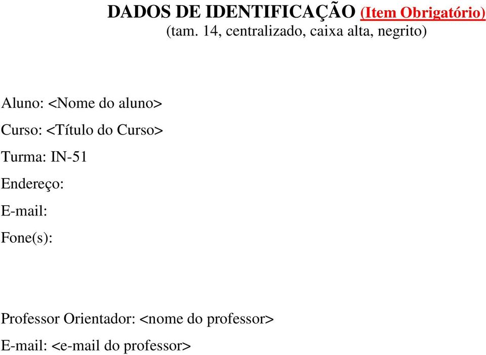 Curso: <Título do Curso> Turma: IN-51 Endereço: E-mail: