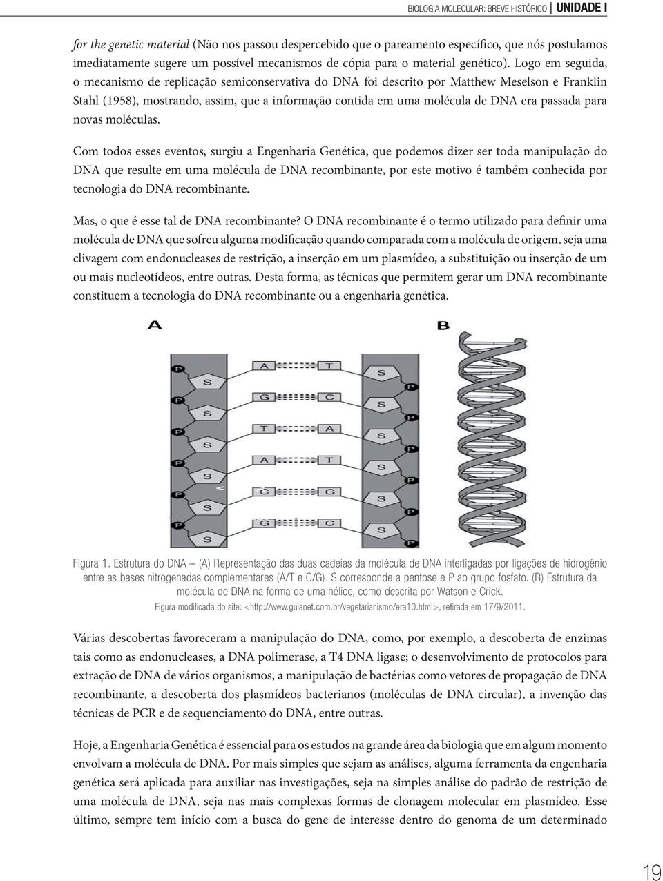 Logo em seguida, o mecanismo de replicação semiconservativa do DNA foi descrito por Matthew Meselson e Franklin Stahl (1958), mostrando, assim, que a informação contida em uma molécula de DNA era