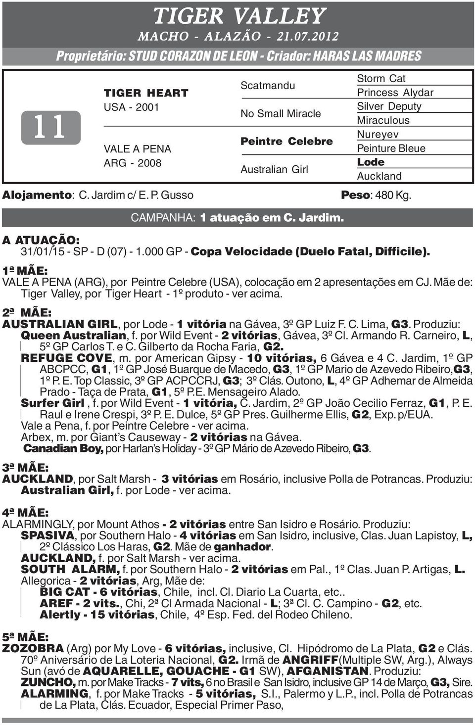 Storm Cat Princess Alydar Silver Deputy Miraculous Nureyev Peinture Bleue Lode Auckland Peso: 480 Kg. A ATUAÇÃO: 31/01/15 - SP - D (07) - 1.000 GP - Copa Velocidade (Duelo Fatal, Difficile).