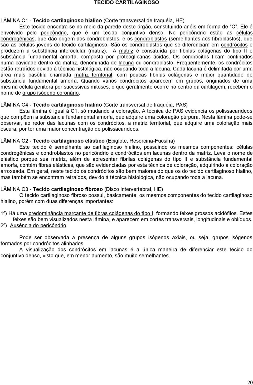 No pericôndrio estão as células condrogênicas, que dão origem aos condroblastos, e os condroblastos (semelhantes aos fibroblastos), que são as células jovens do tecido cartilaginoso.