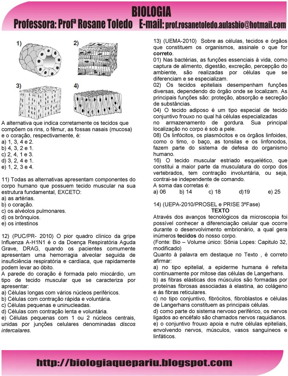 c) os alvéolos pulmonares. d) os brônquios.