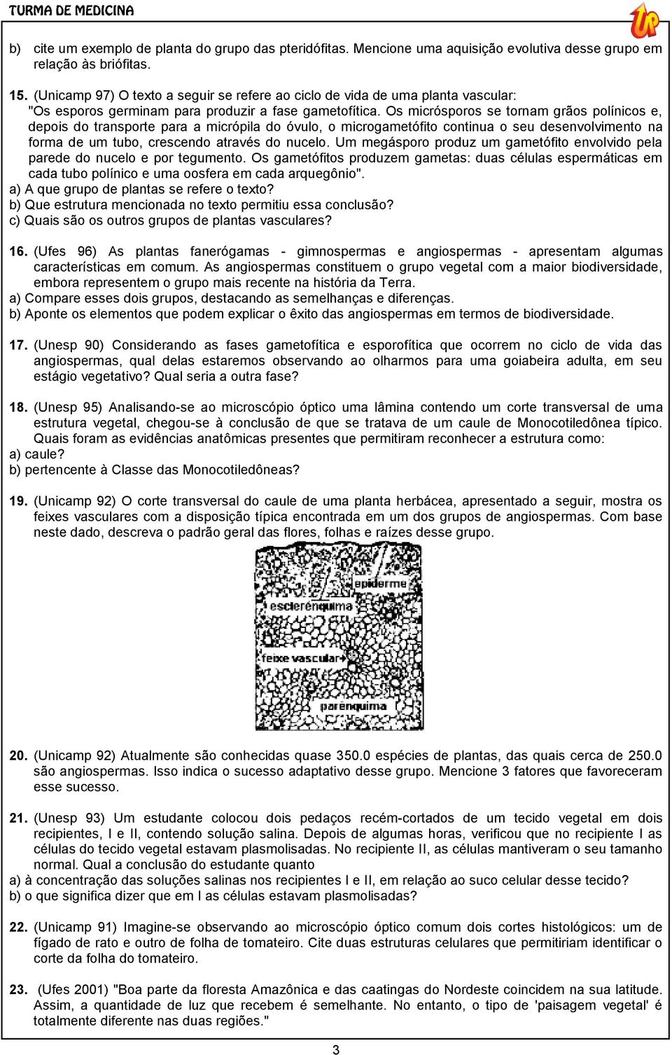 Os micrósporos se tornam grãos polínicos e, depois do transporte para a micrópila do óvulo, o microgametófito continua o seu desenvolvimento na forma de um tubo, crescendo através do nucelo.