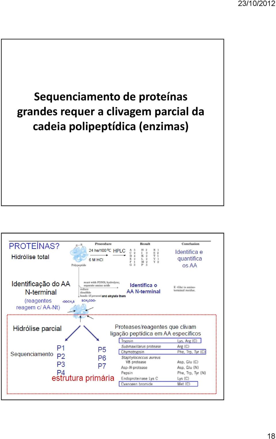 a clivagem parcial da