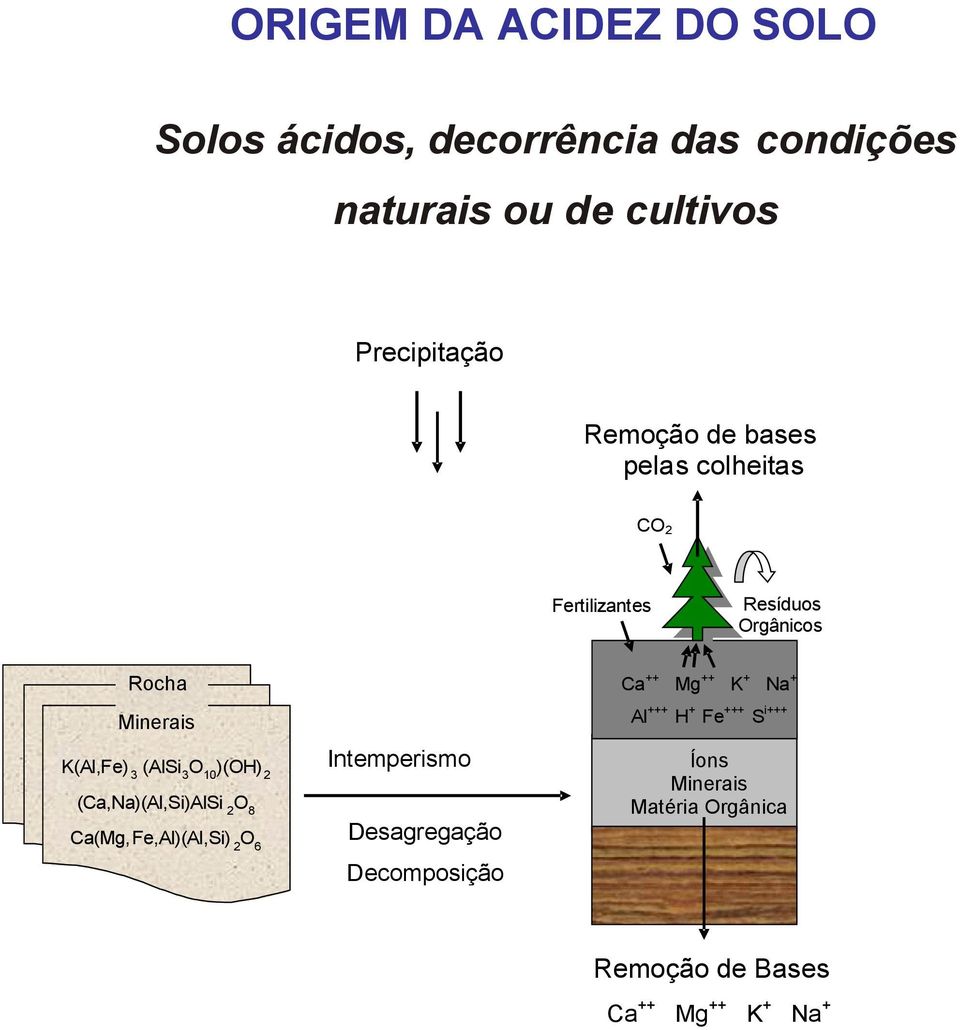 Minerais Al+++ H+ Fe+++ Si+++ K(Al,Fe) 3 (AlSi 3O10)(OH) 2 Intemperismo (Ca,Na)(Al,Si)AlSi 2O8