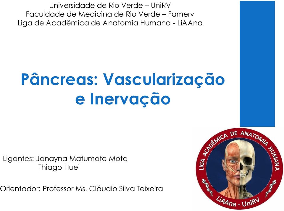 Pâncreas: Vascularização e Inervação Ligantes: Janayna