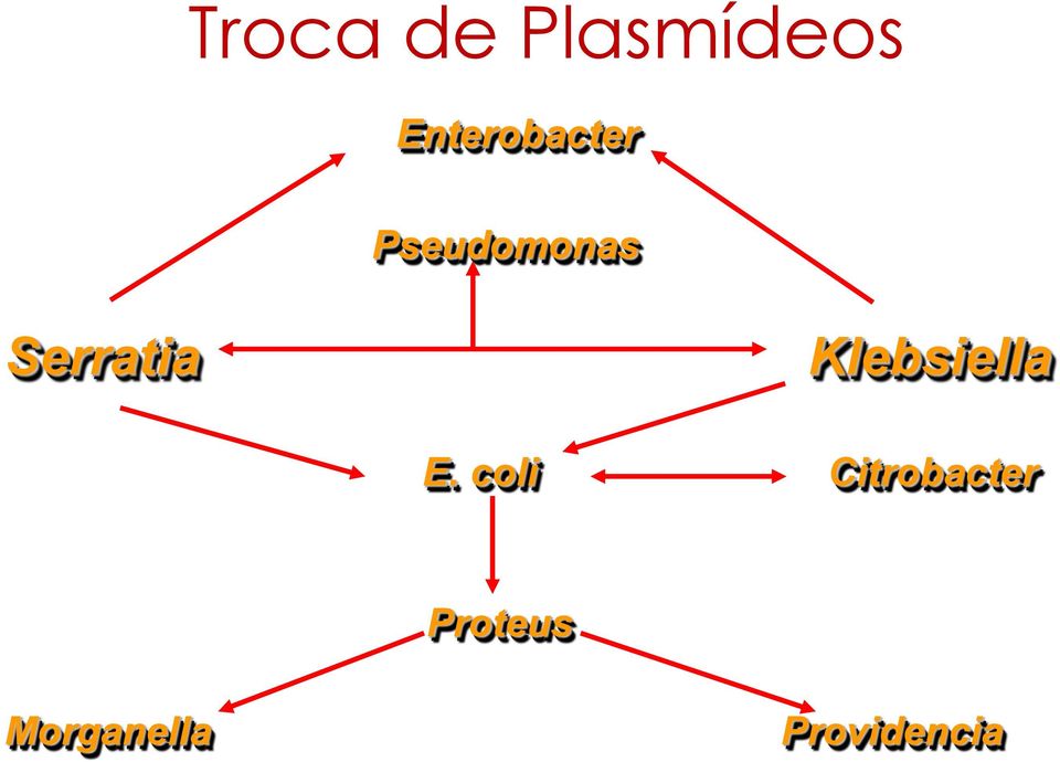 Serratia Klebsiella E.