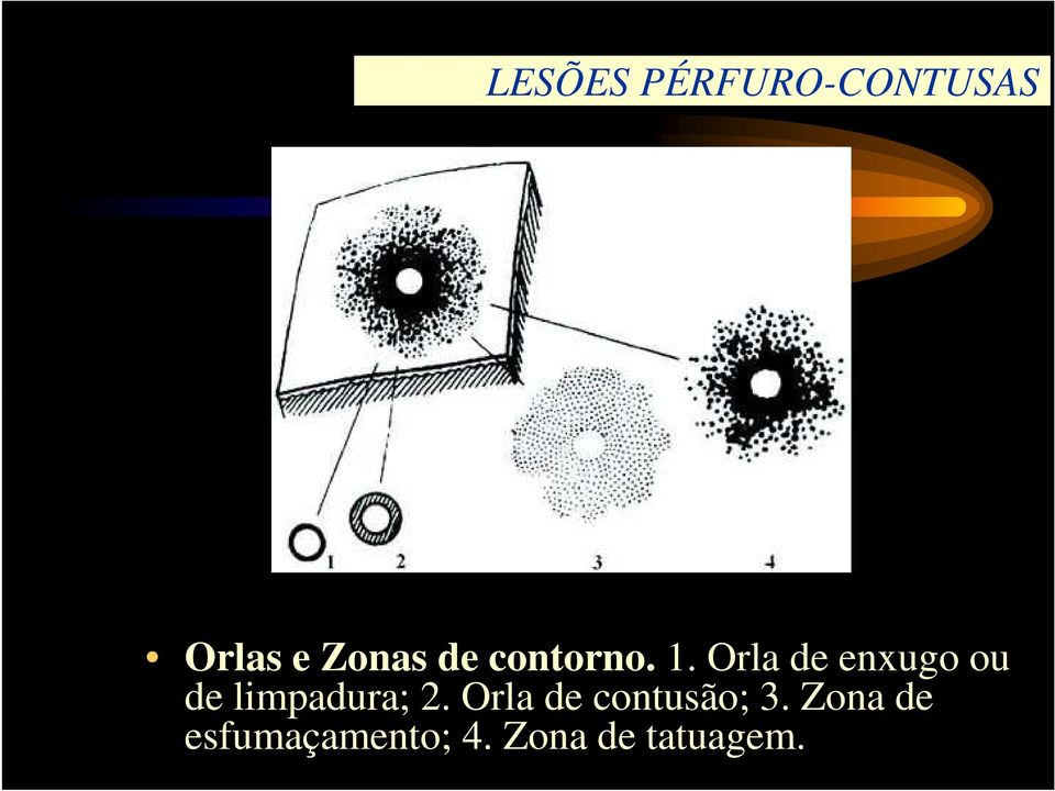 Orla de enxugo ou de limpadura; 2.