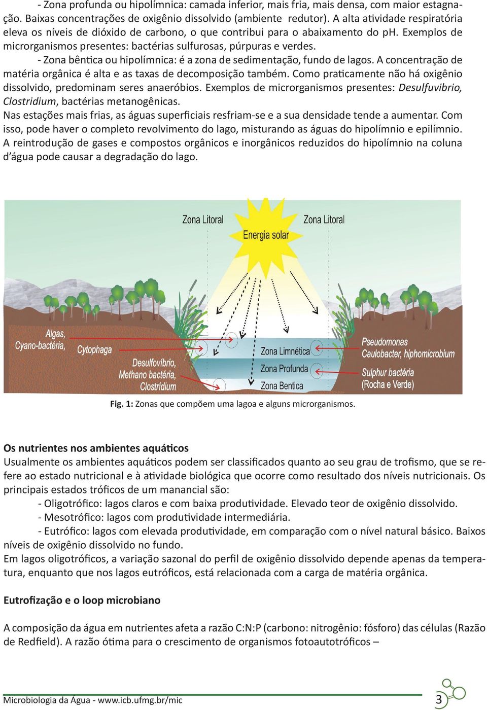 - Zona bêntica ou hipolímnica: é a zona de sedimentação, fundo de lagos. A concentração de matéria orgânica é alta e as taxas de decomposição também.