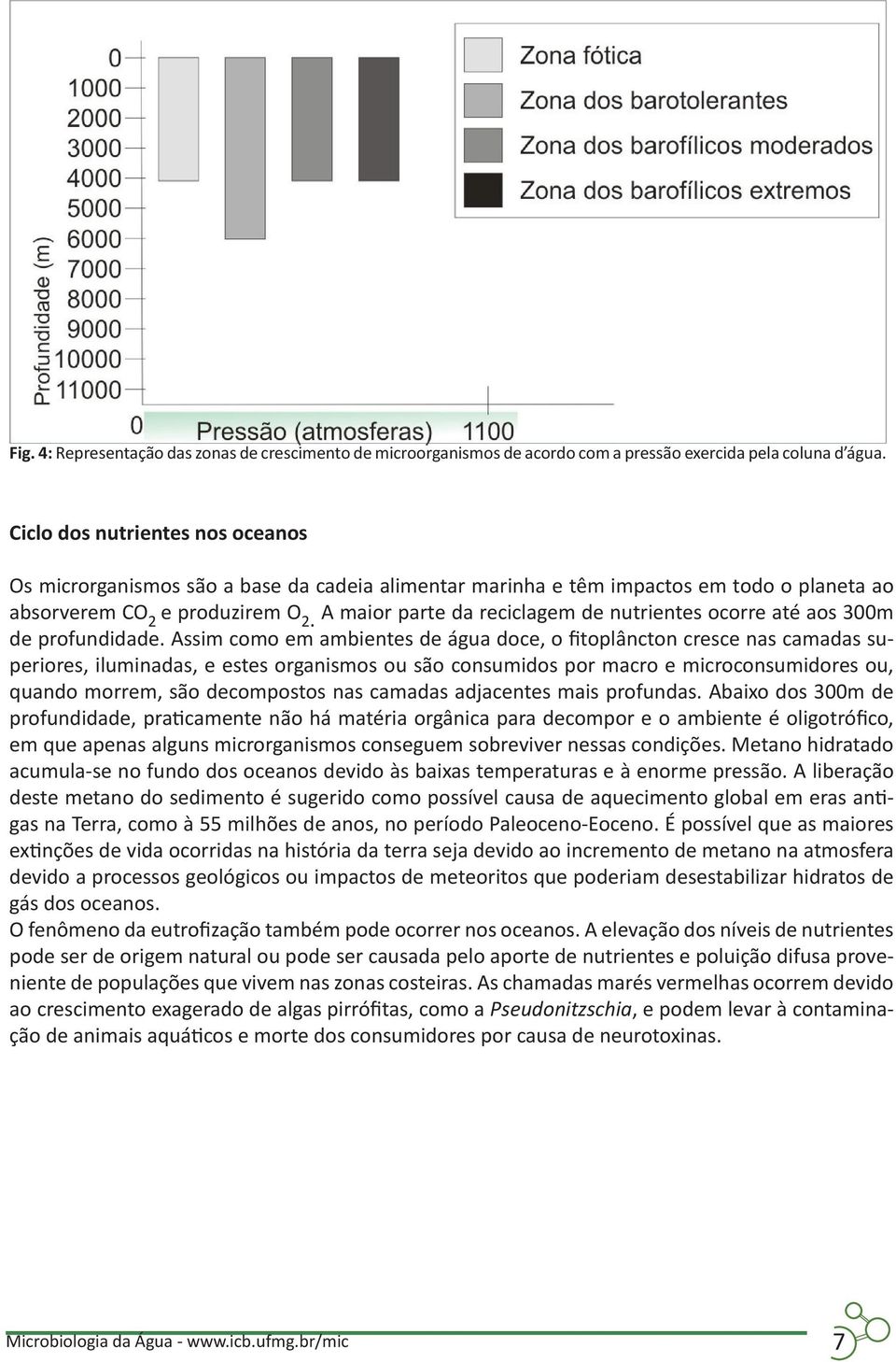 A maior parte da reciclagem de nutrientes ocorre até aos 300m de profundidade.