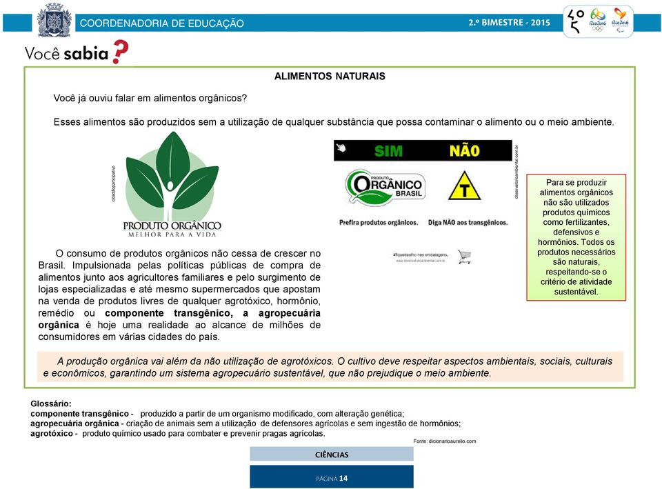 Impulsionada pelas políticas públicas de compra de alimentos junto aos agricultores familiares e pelo surgimento de lojas especializadas e até mesmo supermercados que apostam na venda de produtos