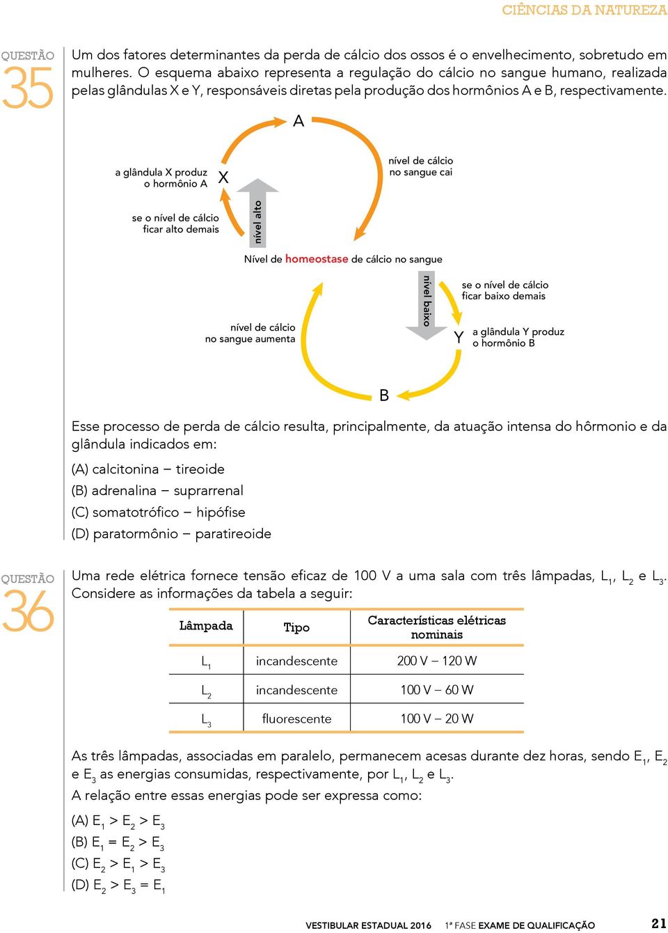 A a glândula X produz o hormônio A X nível de cálcio no sangue cai se o nível de cálcio ficar alto demais nível alto Nível de homeostase de cálcio no sangue nível de cálcio no sangue aumenta nível