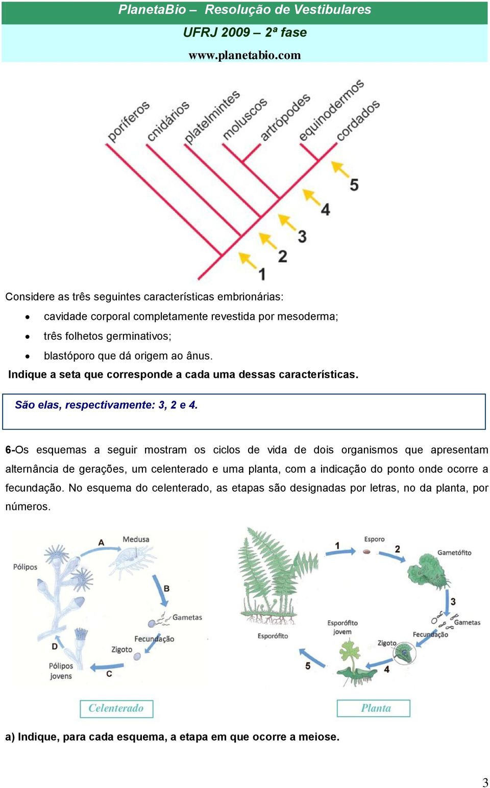 6-Os esquemas a seguir mostram os ciclos de vida de dois organismos que apresentam alternância de gerações, um celenterado e uma planta, com a indicação do