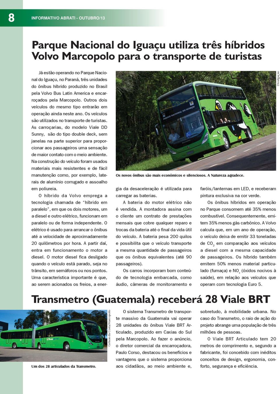 Os veículos são utilizados no transporte de turistas.