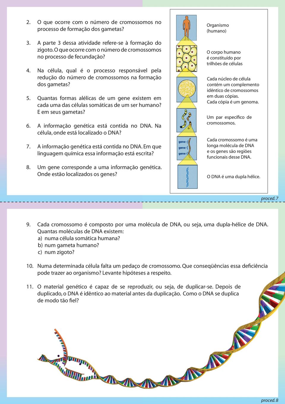 Quantas formas alélicas de um gene existem em cada uma das células somáticas de um ser humano? E em seus gametas? 6. A informação genética está contida no DNA. Na célula, onde está localizado o DNA?