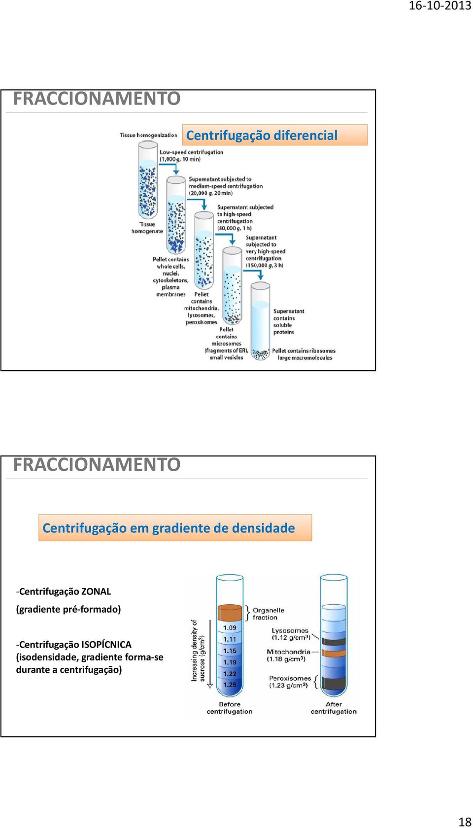 ZONAL (gradiente pré-formado) -Centrifugação ISOPÍCNICA