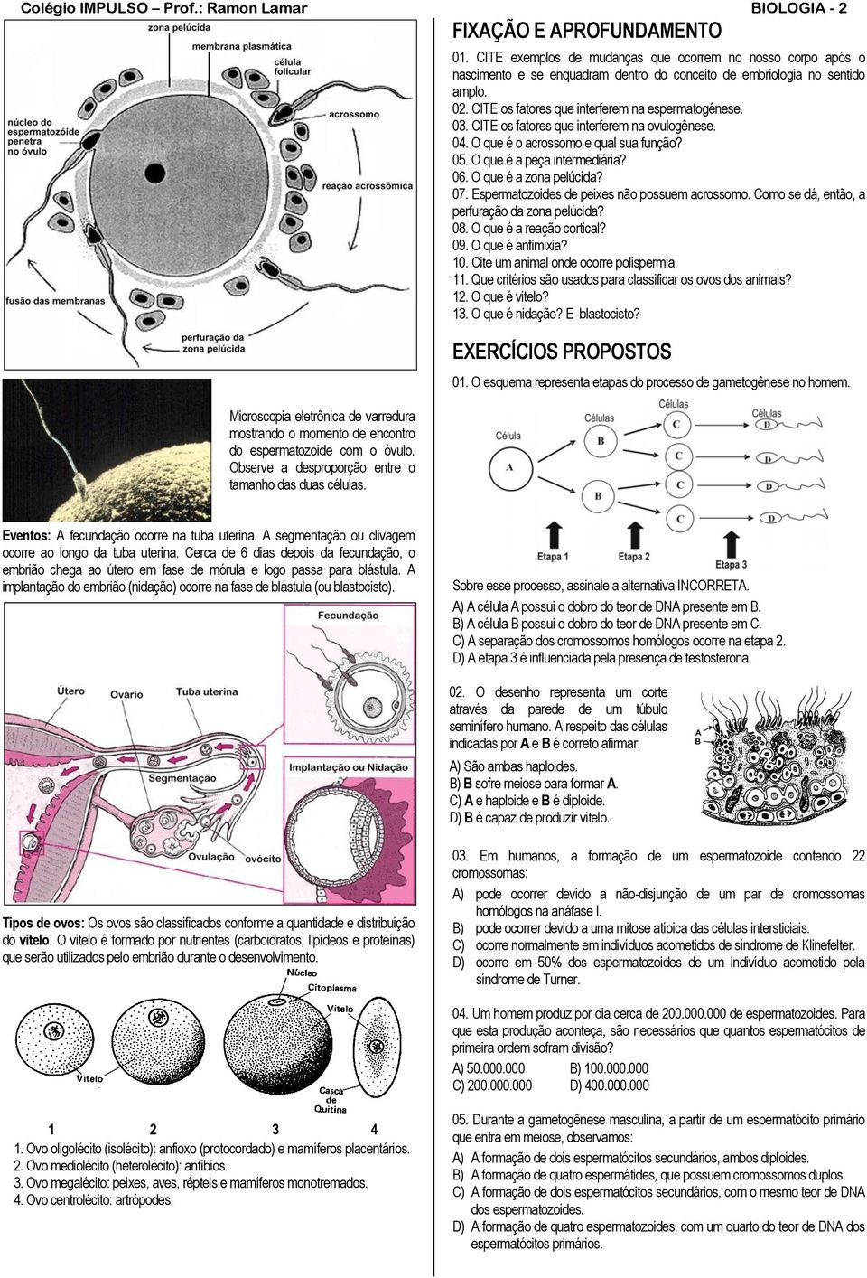 CITE exemplos de mudanças que ocorrem no nosso corpo após o nascimento e se enquadram dentro do conceito de embriologia no sentido amplo. 02. CITE os fatores que interferem na espermatogênese. 03.