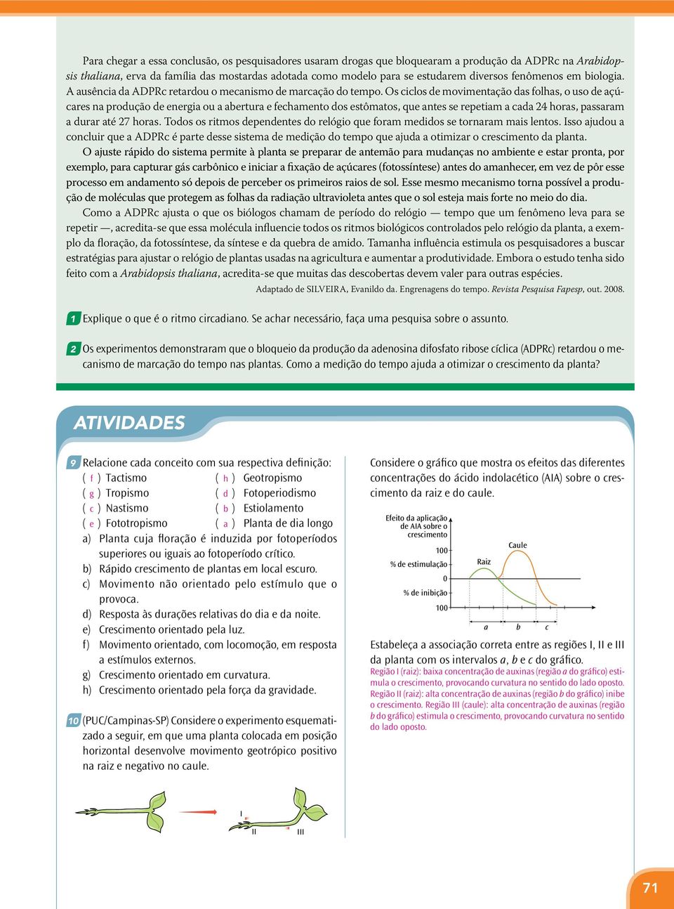 Os ciclos de movimentação das folhas, o uso de açúcares na produção de energia ou a abertura e fechamento dos estômatos, que antes se repetiam a cada 24 horas, passaram a durar até 27 horas.