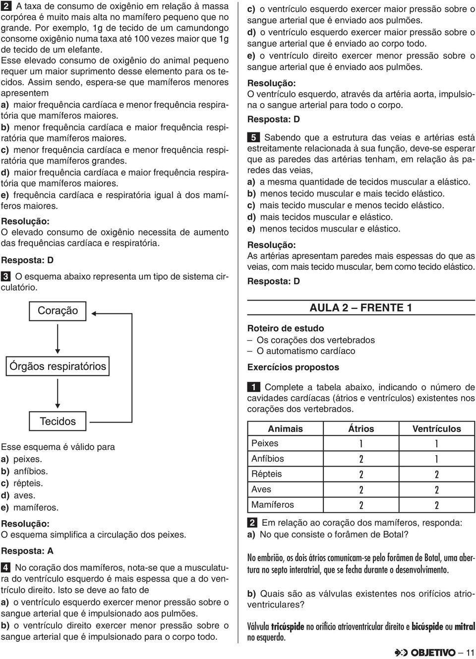 Esse elevado consumo de oxigênio do animal pequeno requer um maior suprimento desse elemento para os tecidos.