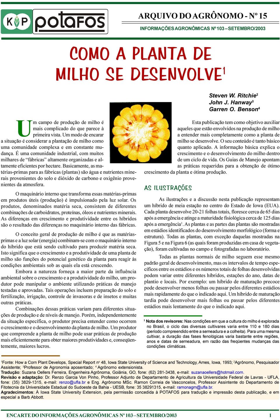 Um modo de encarar a situação é considerar a plantação de milho como uma comunidade complexa e em constante mudança.