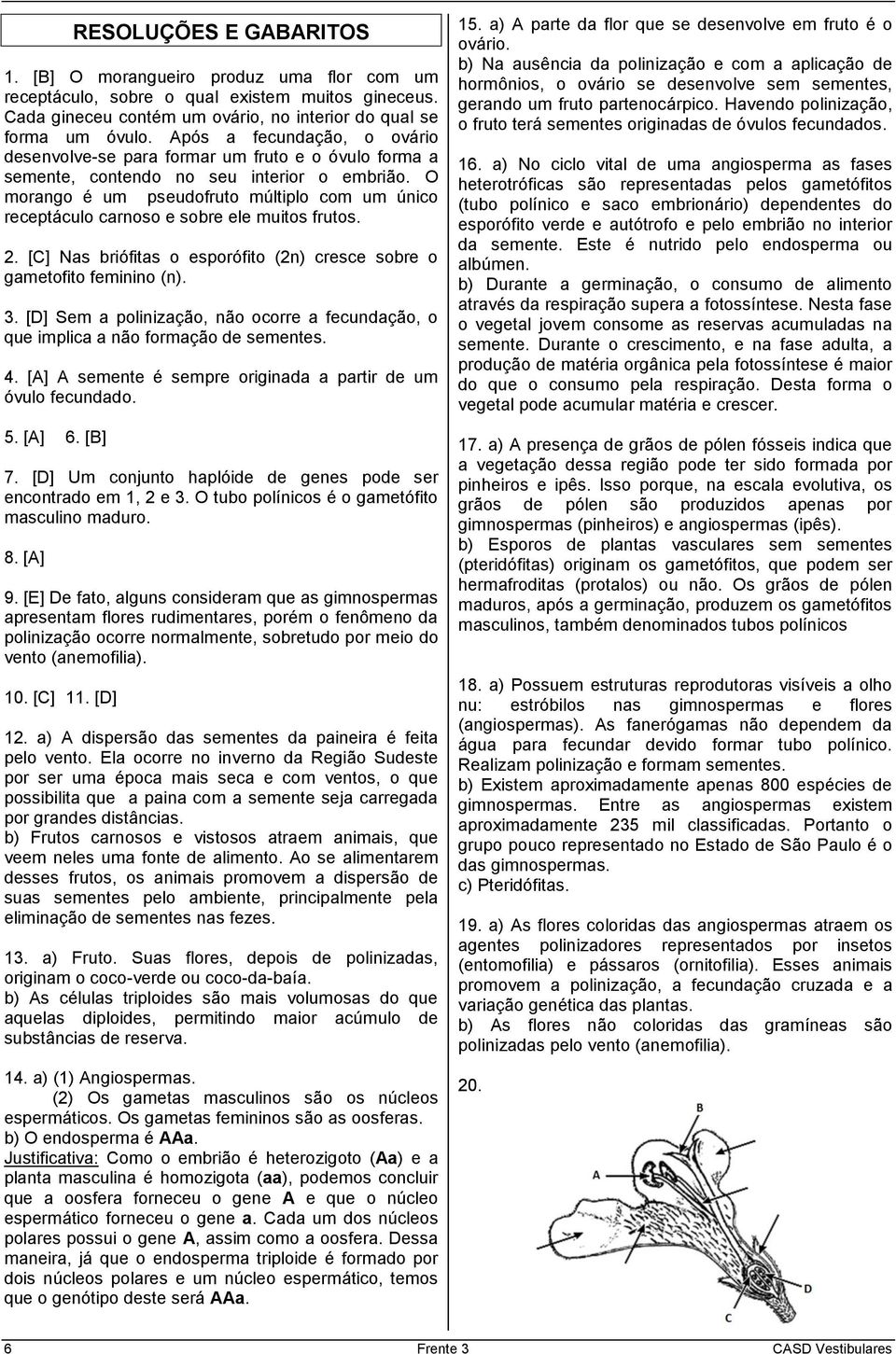 O morango é um pseudofruto múltiplo com um único receptáculo carnoso e sobre ele muitos frutos. 2. [C] Nas briófitas o esporófito (2n) cresce sobre o gametofito feminino (n). 3.