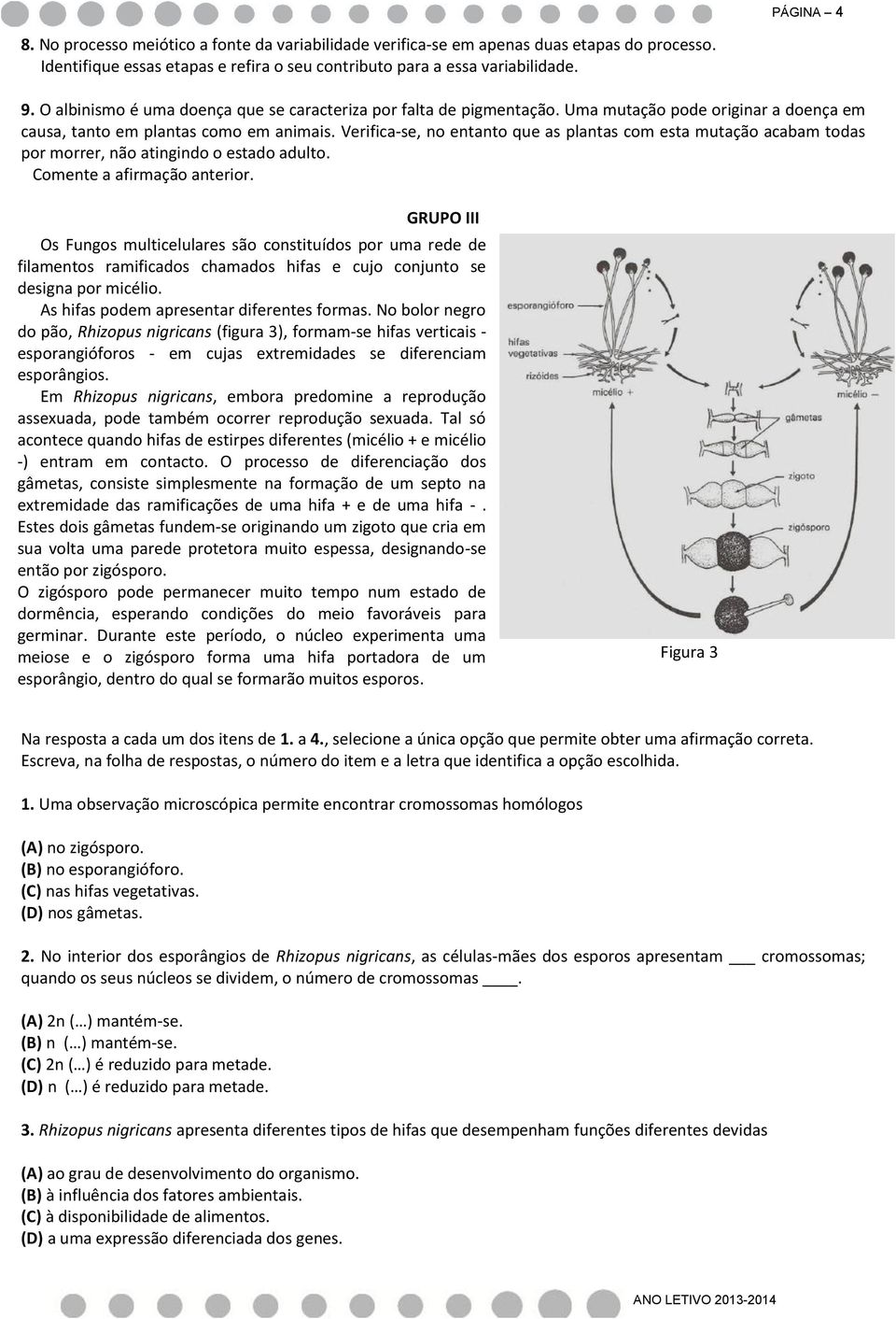 Verifica-se, no entanto que as plantas com esta mutação acabam todas por morrer, não atingindo o estado adulto. Comente a afirmação anterior.