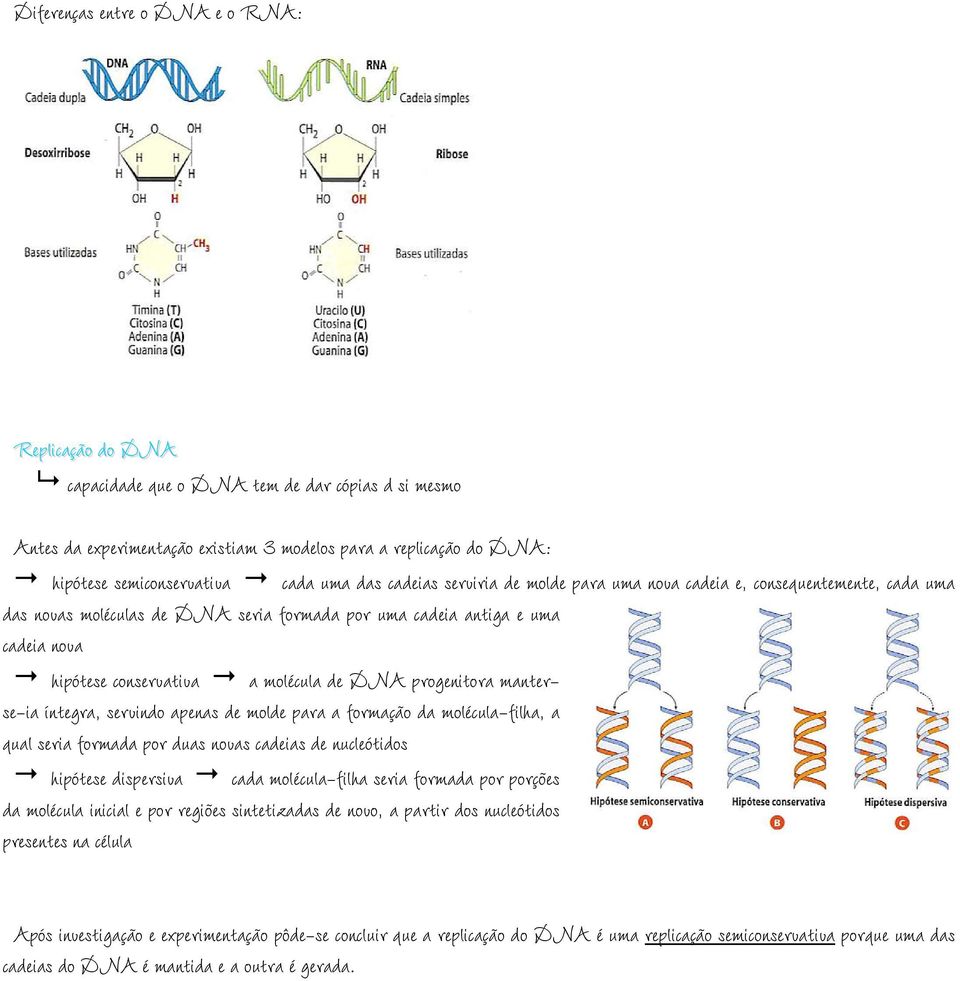 de DNA progenitora manterse-ia íntegra, servindo apenas de molde para a formação da molécula-filha, a qual seria formada por duas novas cadeias de nucleótidos hipótese dispersiva cada molécula-filha