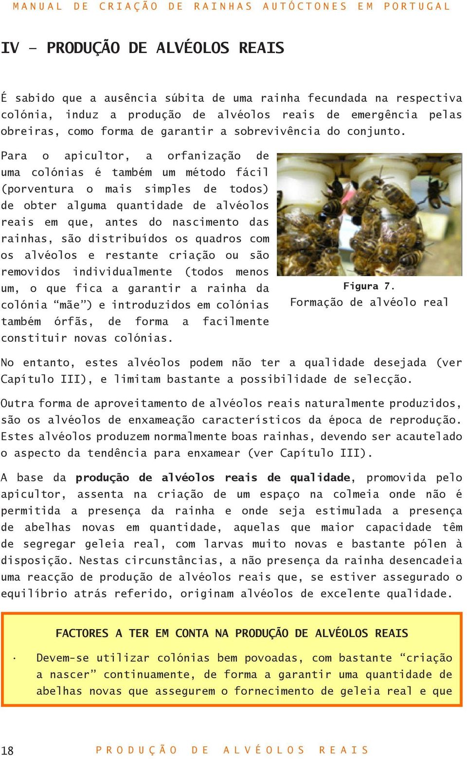 Para o apicultor, a orfanização de uma colónias é também um método fácil (porventura o mais simples de todos) de obter alguma quantidade de alvéolos reais em que, antes do nascimento das rainhas, são