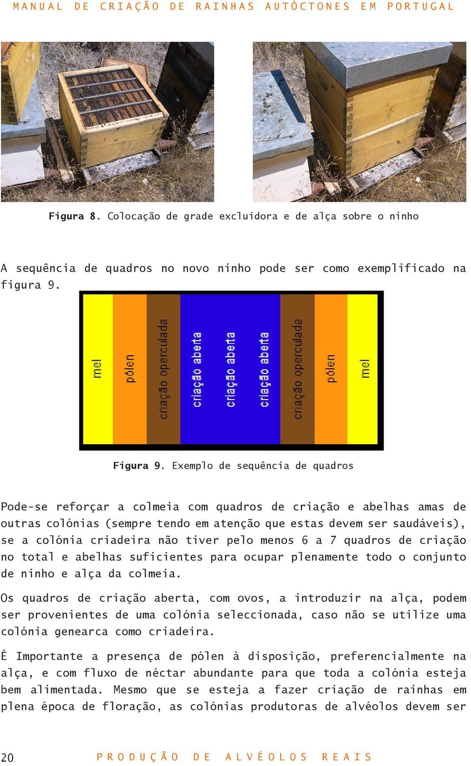 tiver pelo menos 6 a 7 quadros de criação no total e abelhas suficientes para ocupar plenamente todo o conjunto de ninho e alça da colmeia.