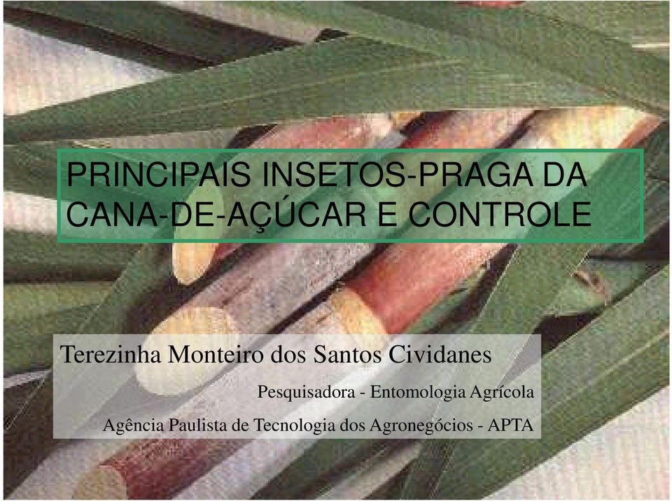 Cividanes Pesquisadora - Entomologia Agrícola