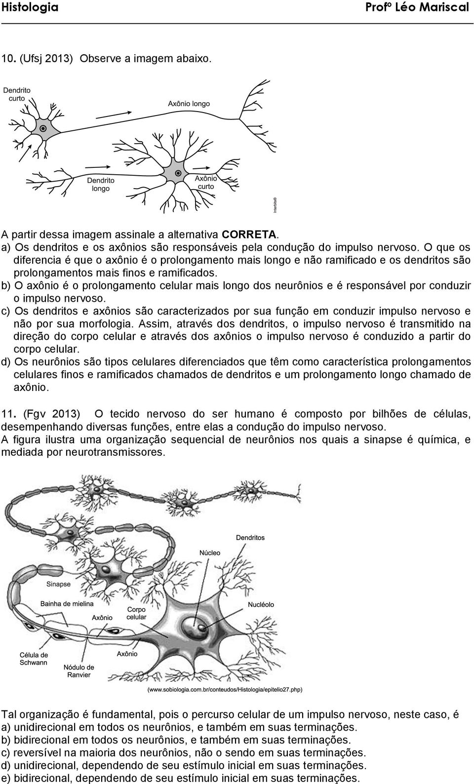 b) O axônio é o prolongamento celular mais longo dos neurônios e é responsável por conduzir o impulso nervoso.