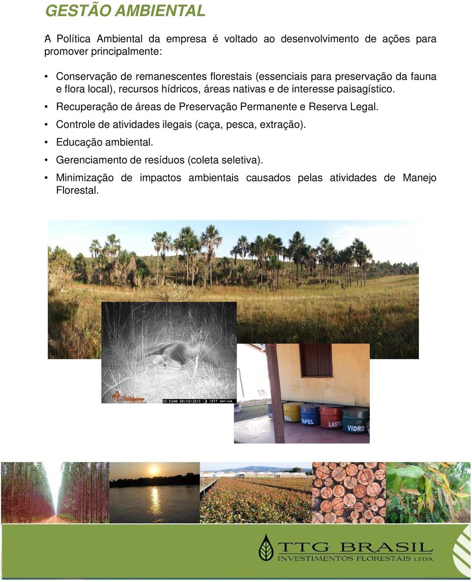 florestais (essenciais para preservação da fauna e flora local), recursos hídricos, áreas nativas e de interesse paisagístico.