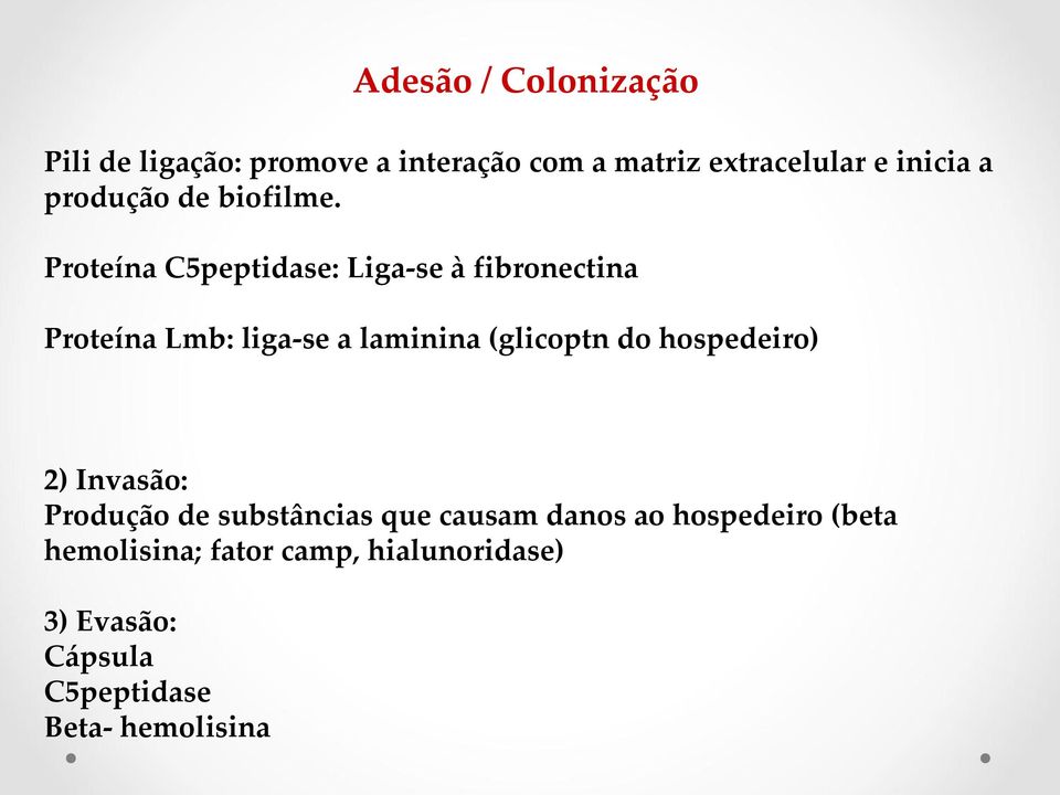 Proteína C5peptidase: Liga-se à fibronectina Proteína Lmb: liga-se a laminina (glicoptn do