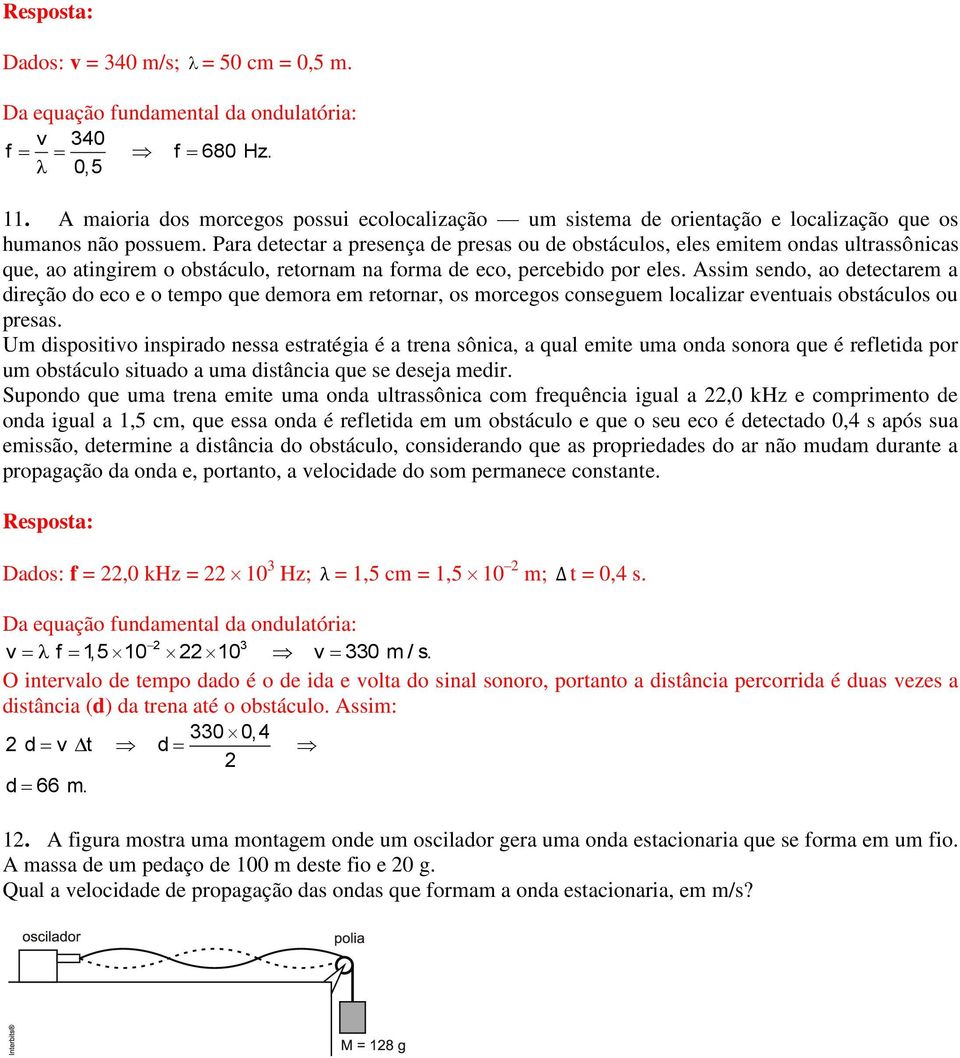 Para detectar a presença de presas ou de obstáculos, eles emitem ondas ultrassônicas que, ao atingirem o obstáculo, retornam na forma de eco, percebido por eles.